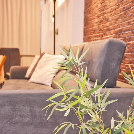 Appartement Superior Grey *